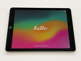 iPad Air 2 Wi-Fi+4G 16GB Silber - Super Zustand!
