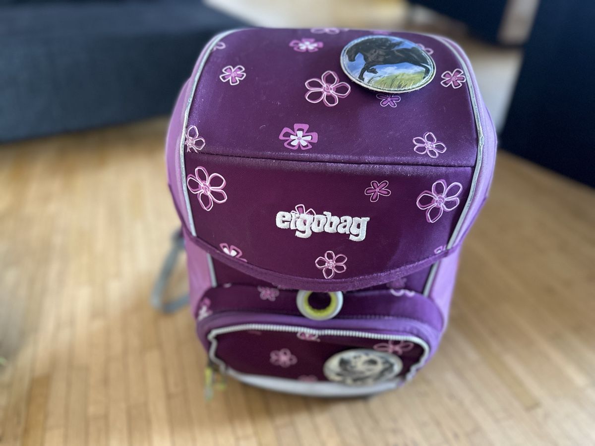Ergobag Sacs & sacs à dos: Ergobag, mit Turnsack und Regenschutz – D'occasion à Altstätten SG par sar_65sw 1