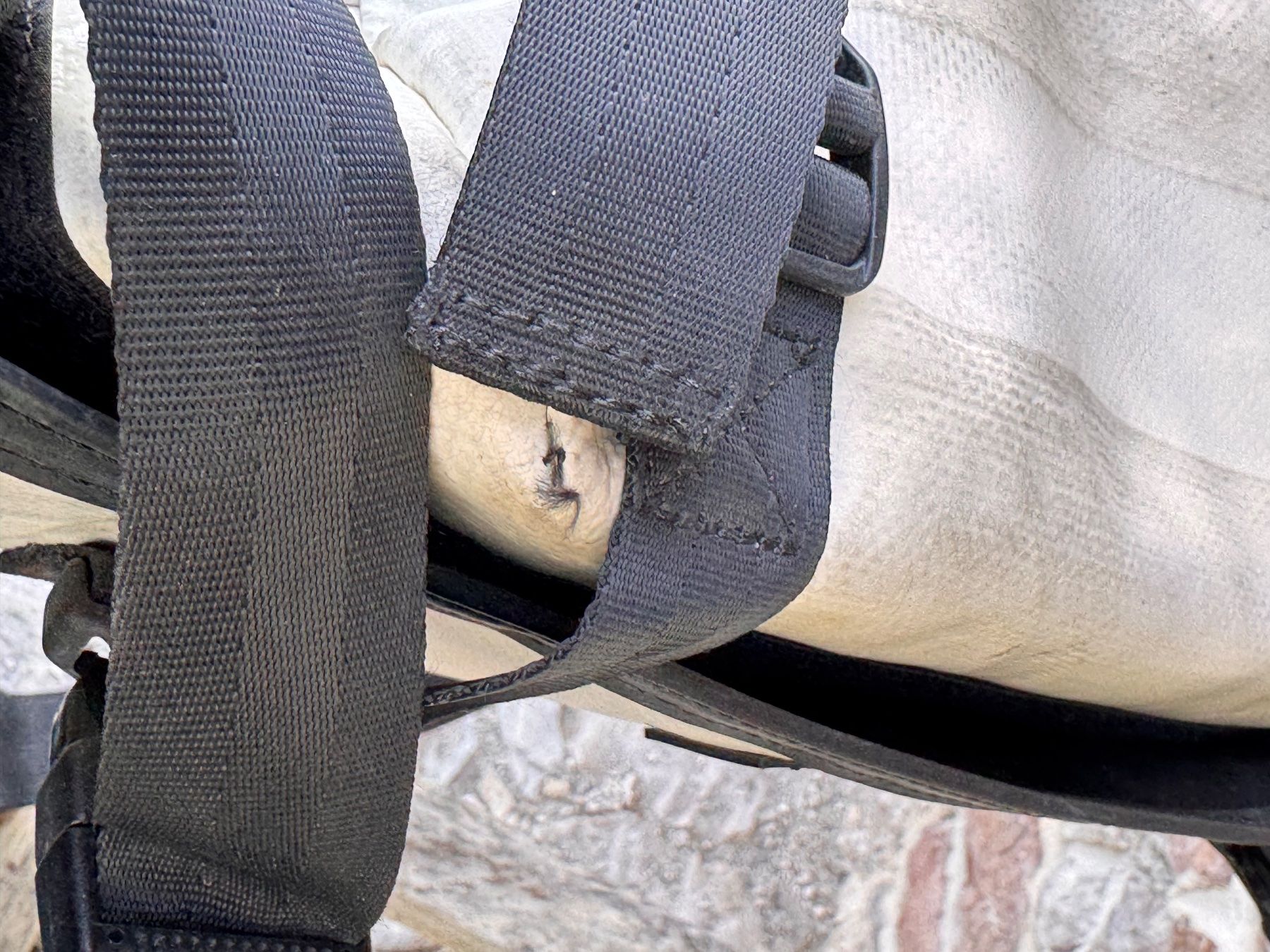 Freitag Sacs: Freitag F17 Joe – D'occasion à Arsiè par Marydema76 6
