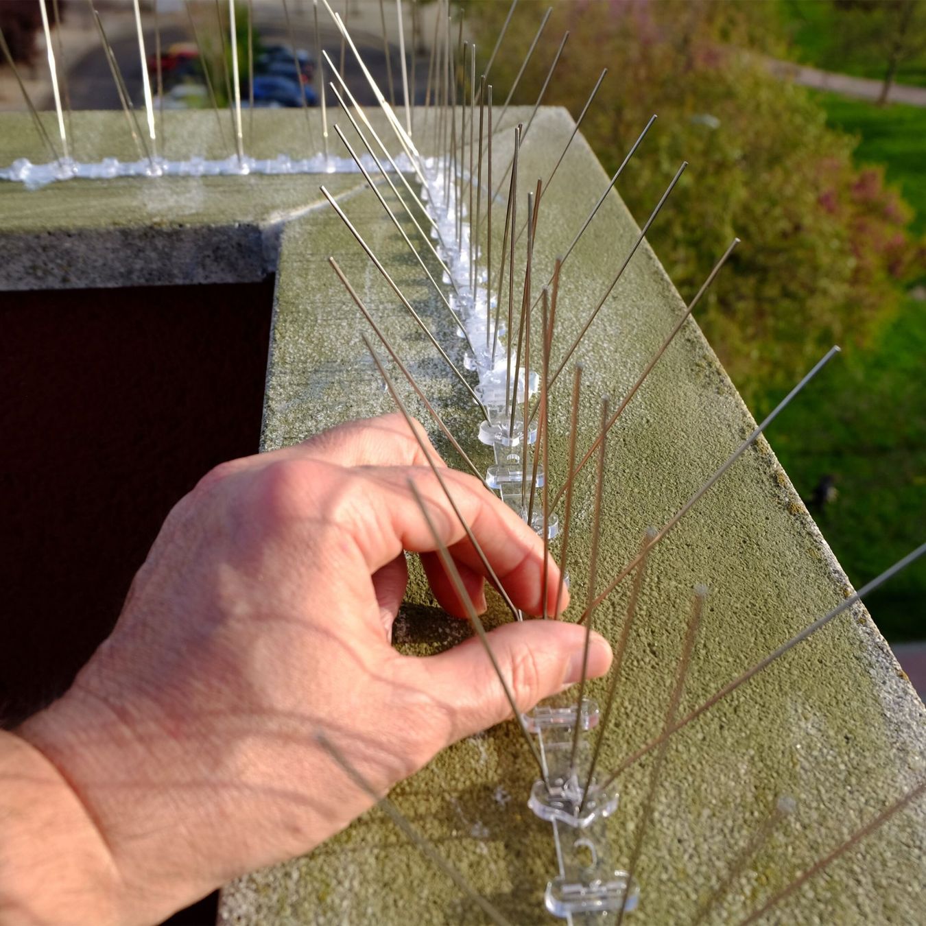 Griglie e Inferriate: Vogelabwehr - Taubenabwehr Spikes 10er Set, 5 Meter – Usato da Gerlafingen venduto da Tsuru 3