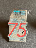 Pin Bahn Ticket