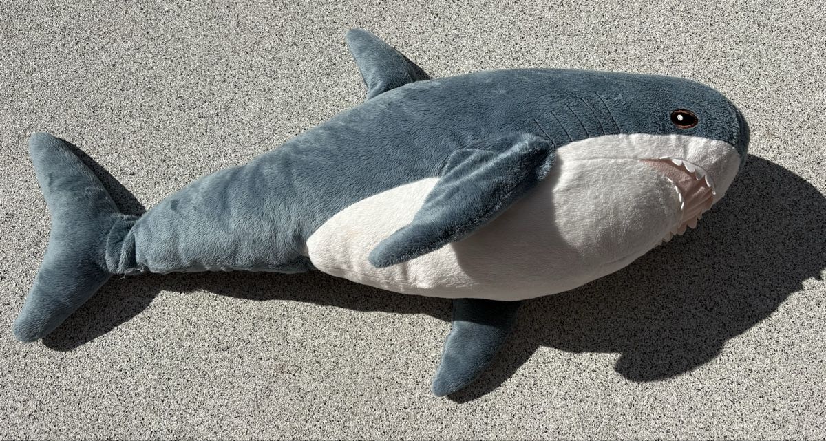 Spielzeuge: Peluche requin – Gebraucht aus Ovronnaz von Justine96