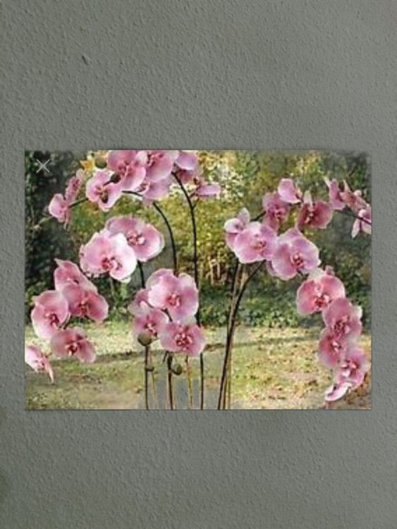 Restposten Grosshandel Kunstpflanze Orchideen im Topf (Neu (gemss  Beschreibung)) in Emmen fr CHF 320  nur Abholung auf Ricardo kaufen