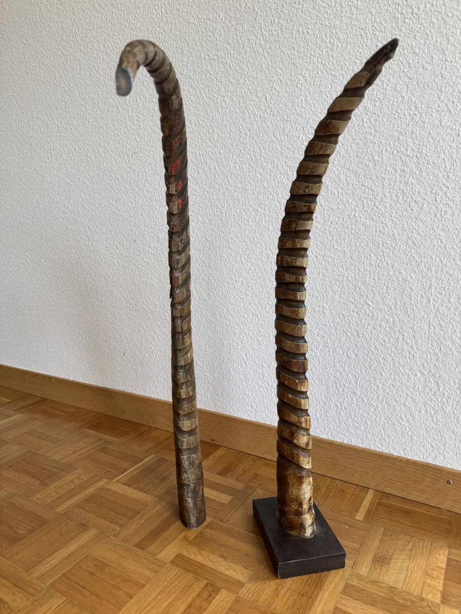 Altre raccolte & rarità: Hörner 2 Stück – Usato da Horgen venduto da BonnieBerlin 4