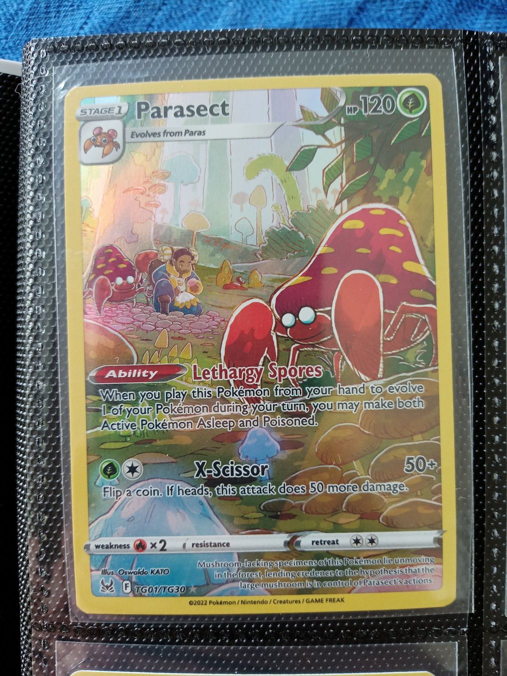 Pokémon Carte collezionabili: Parasect - Trainer Gallery – Usato da Altstätten SG venduto da GGsGameshop