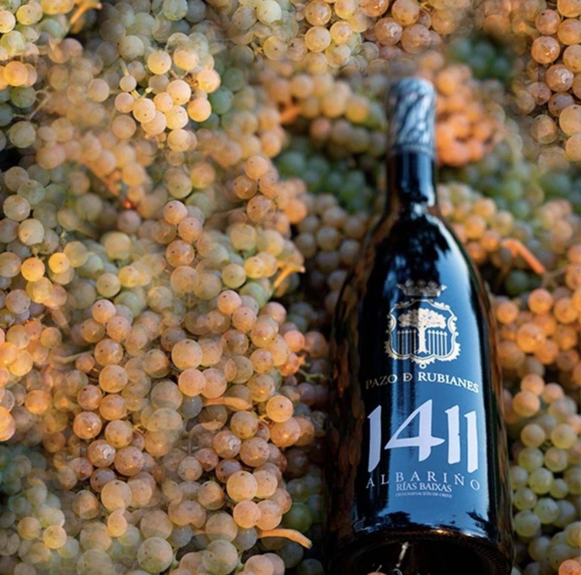 Wein: Vin blanc Albariño 2020 – Neu und originalverpackt aus St-Prex von mar_f6t6 2