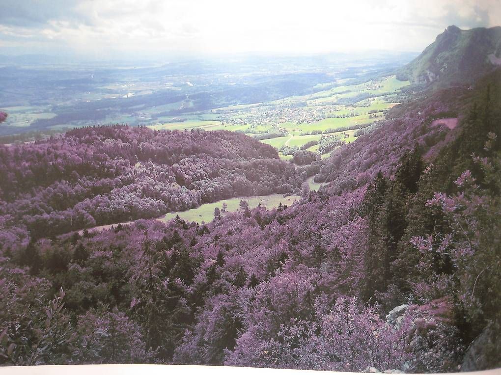Libri: Landschaft Oberaargau – Usato da Madiswil venduto da Mamaro 1