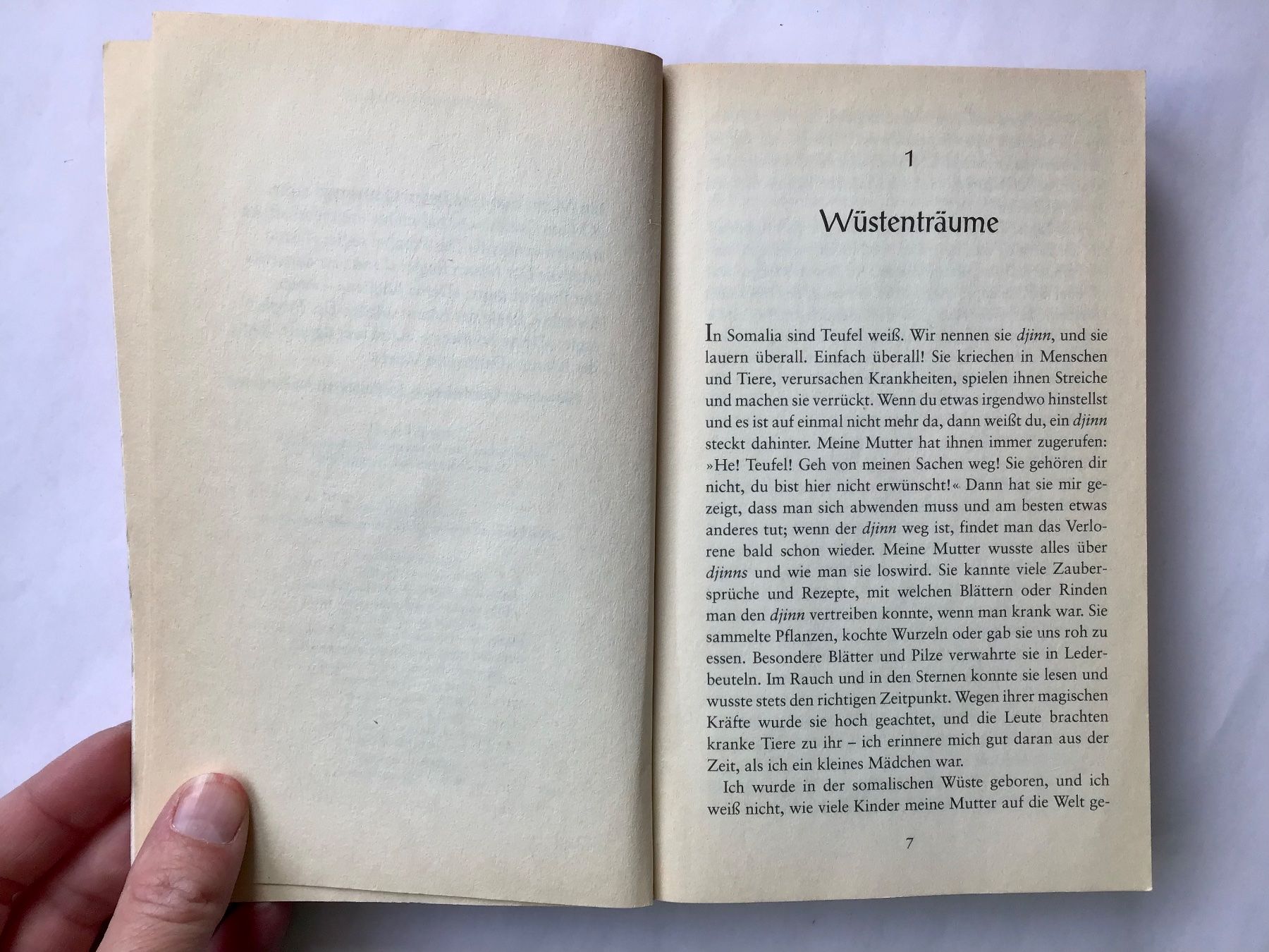Libri: Buch: Nomadentochter (von Waris Dirie) – Usato da Bubendorf venduto da Alpenheidi 5
