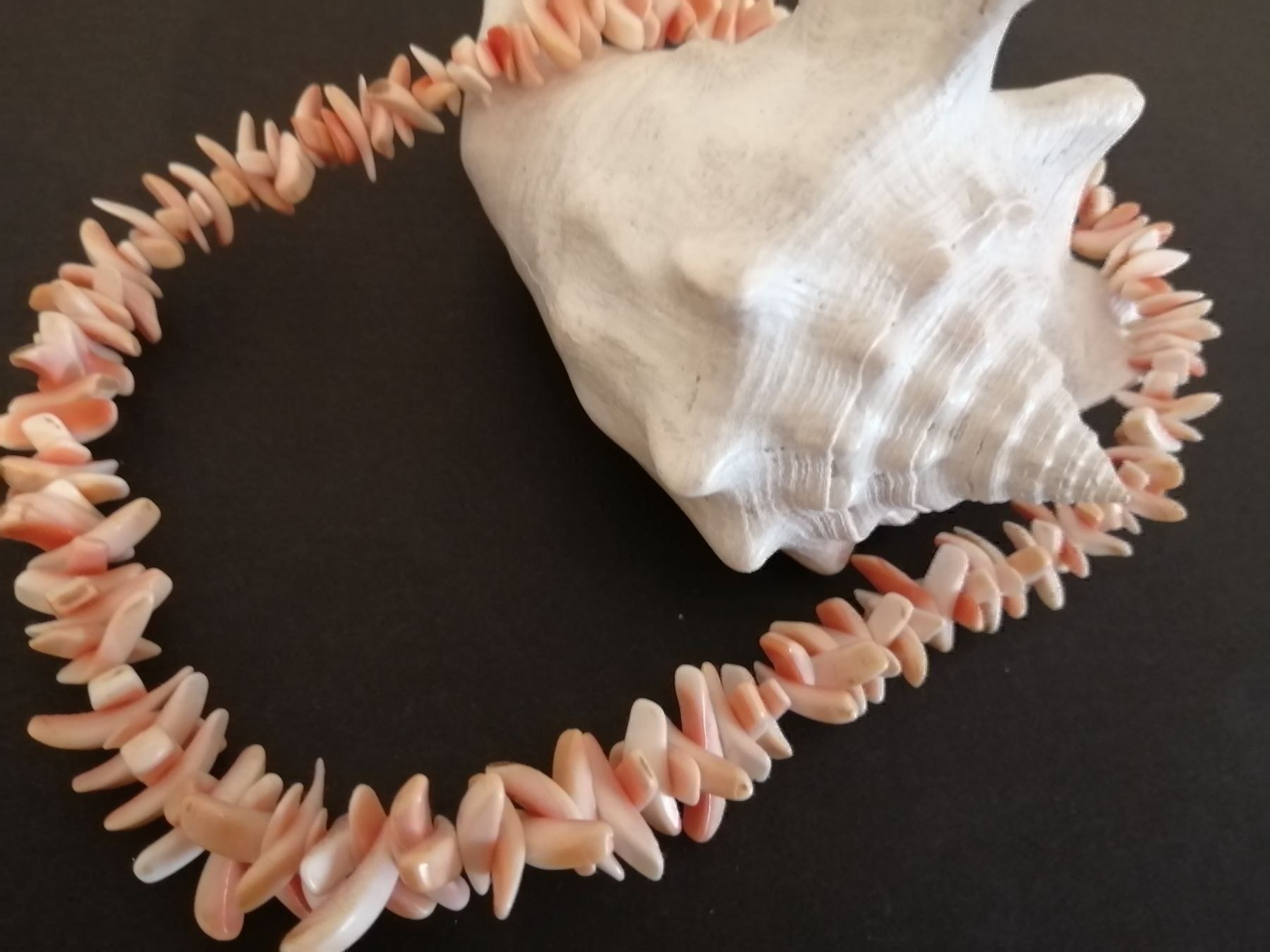 Catenine: Prachtvolles Muschel COLLIER – Usato da Nunningen venduto da mochflo 1