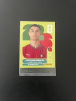 Ronaldo Panini Por15