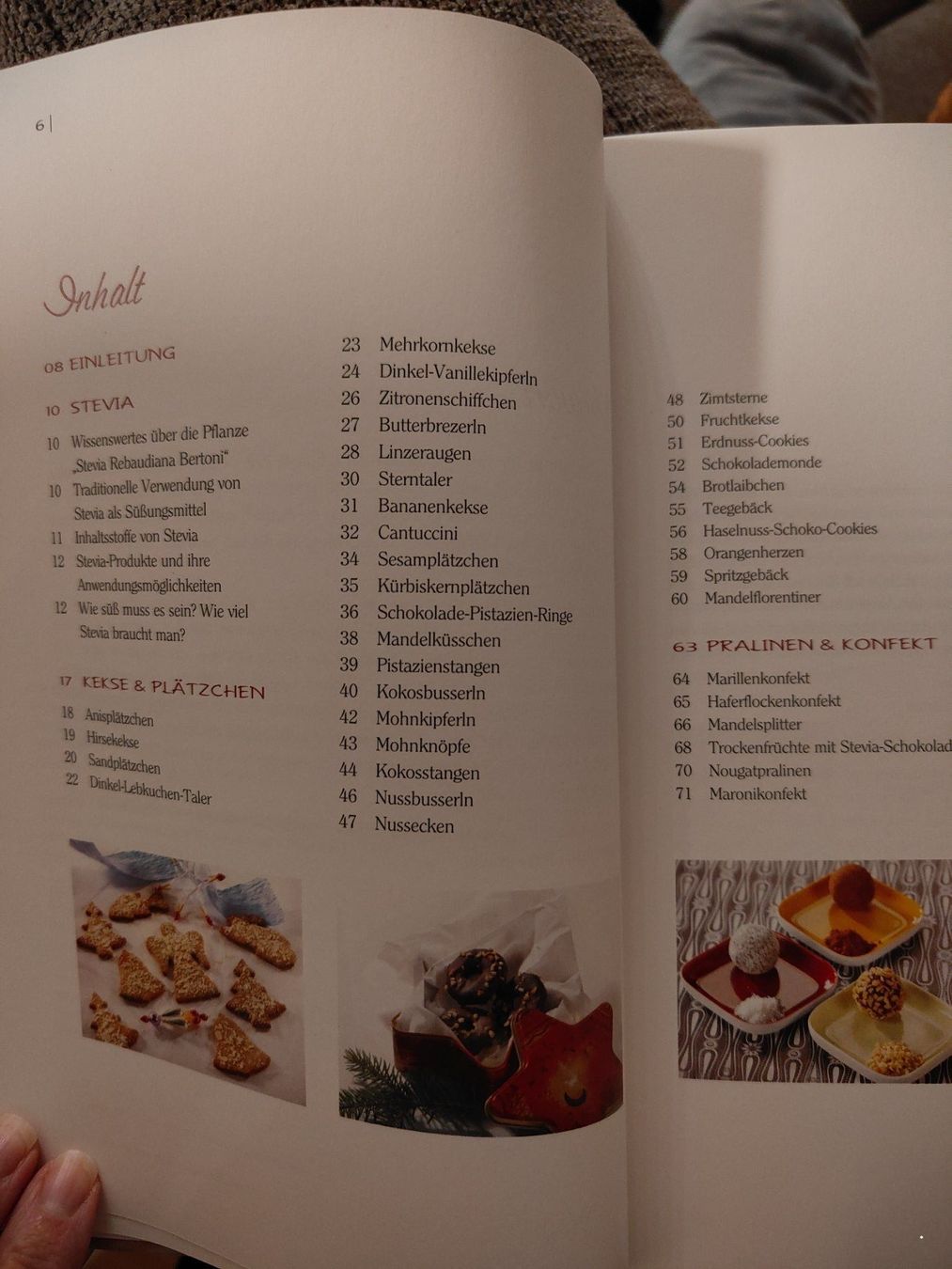 Libri: Kochbuch: Das Stevia-Weihnachtsbackbuch – Usato da St. Gallen venduto da Bisaknosp 4