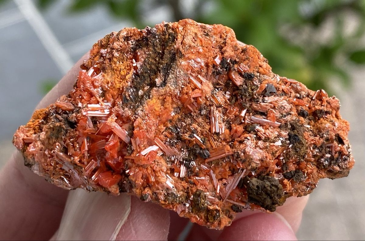 Mineralien & Heilsteine: Top Stück Krokoit  – Gebraucht aus Selzach von 321compac 8