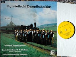 E Gmüetlechi Dampfbahnfahrt Schwyzerörgelifründe Blaseflueh