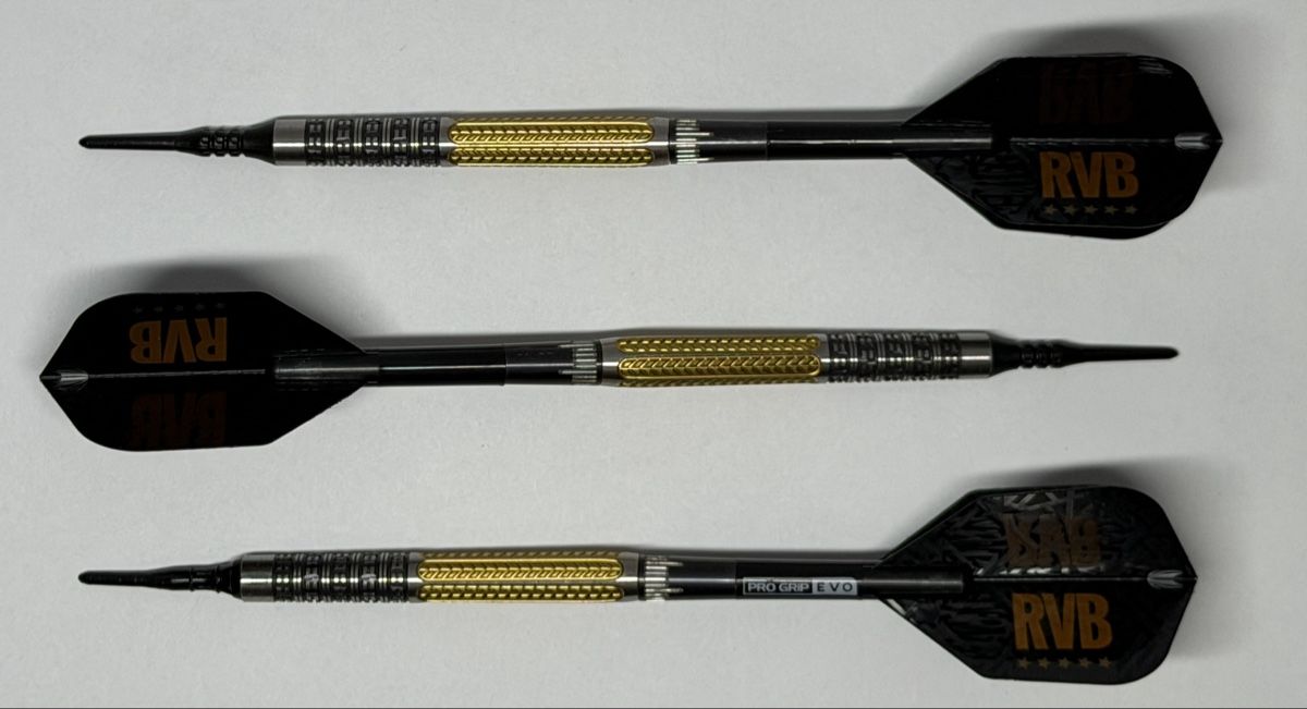 Dart: Target - Raymond van Barneveld G2 - Softdart 19g – Neu (gemäss Beschreibung) aus Zürich von Syossmen 5