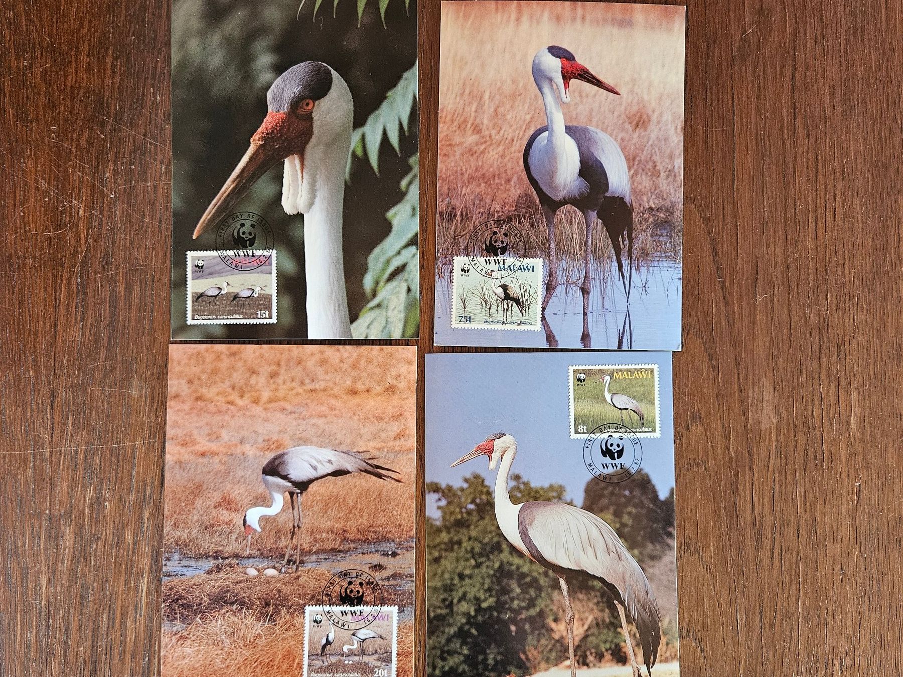 Cartes postales: 4 Ansichtskarten Malawi Vögel WWF – Neuf (Voir description) à Gontenschwil par regentag