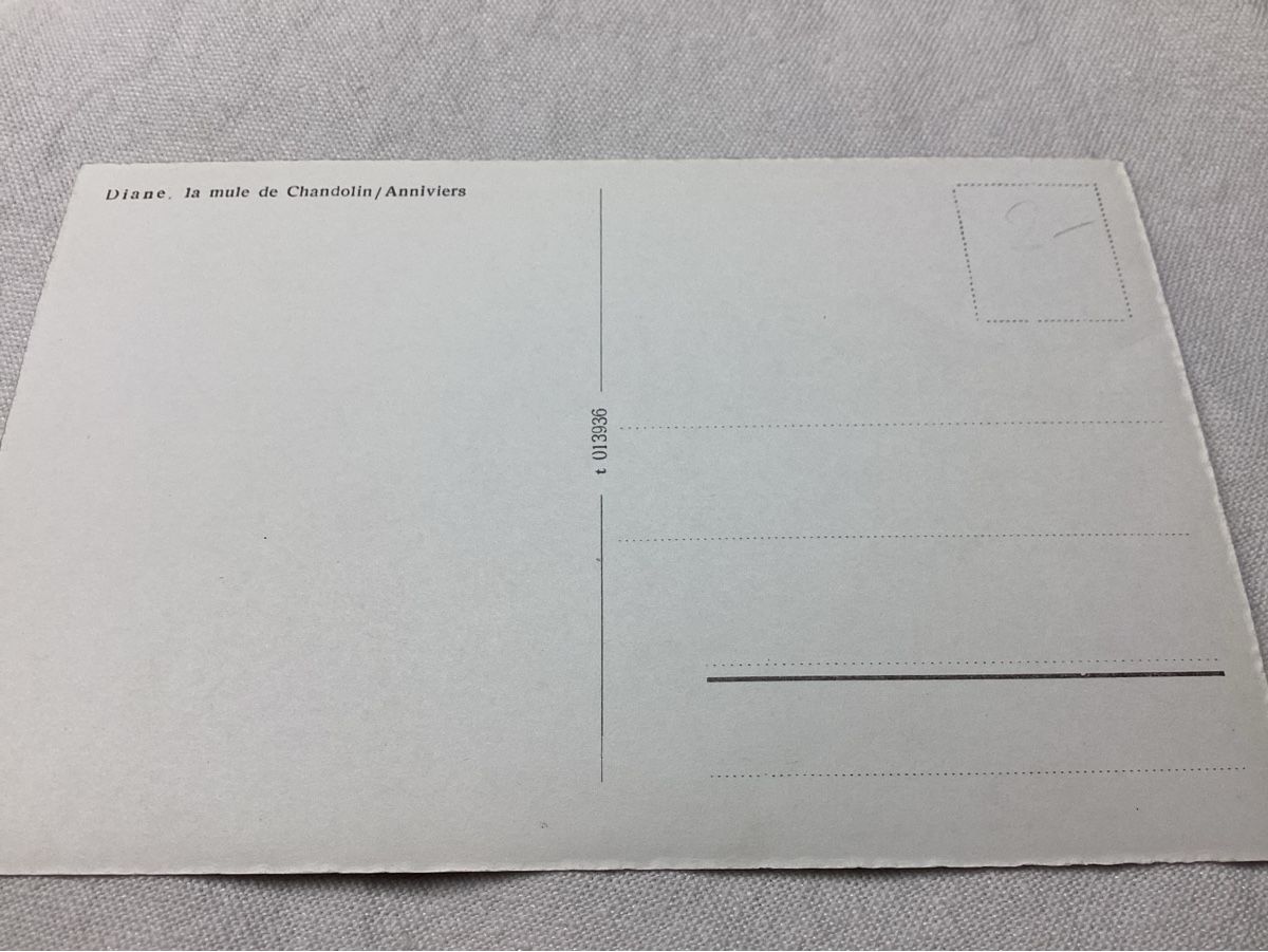 Cartes postales: Diane / la mule de CHANDOLIN – D'occasion à Luc (Ayent) par Rebouille 1