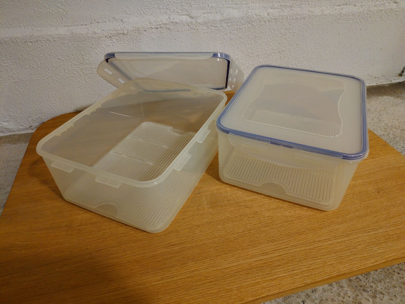 Contenitori & Simili: LOCK & LOCK Tupperware 2 Stk 5.5L – Usato da Glarus venduto da Be8750