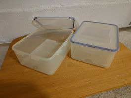 LOCK & LOCK Tupperware 2 Stk 5.5L