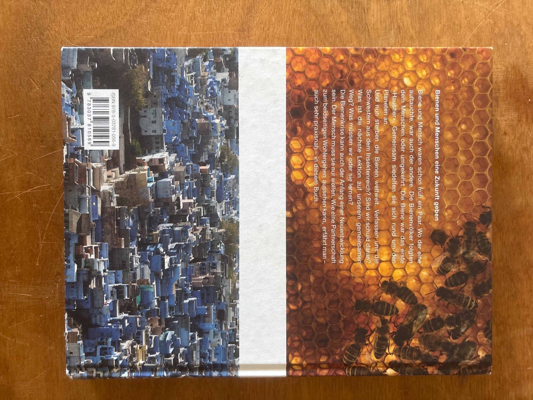 Libri: Bienen verstehen – Usato da Zürich venduto da WWehrle 3