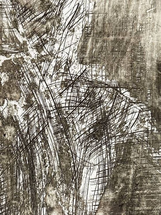 MAURO VALSANGIACOMO opera grafica HC (Gebraucht) in Bosco Luganese für ...