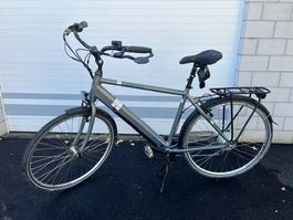 Leopard City Cruiser