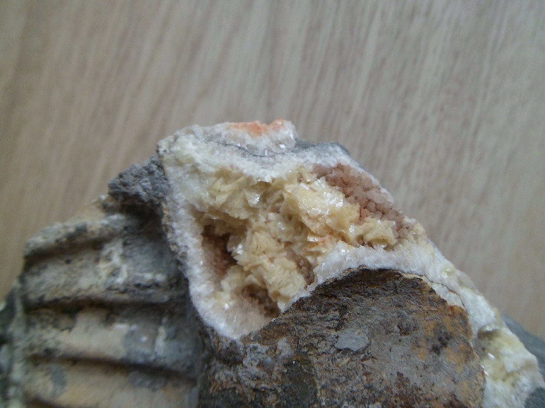 Fossilien: Calcit + Ankerit / Dolomit Schweiz – Gebraucht aus Affoltern am Albis von Fossil60 3