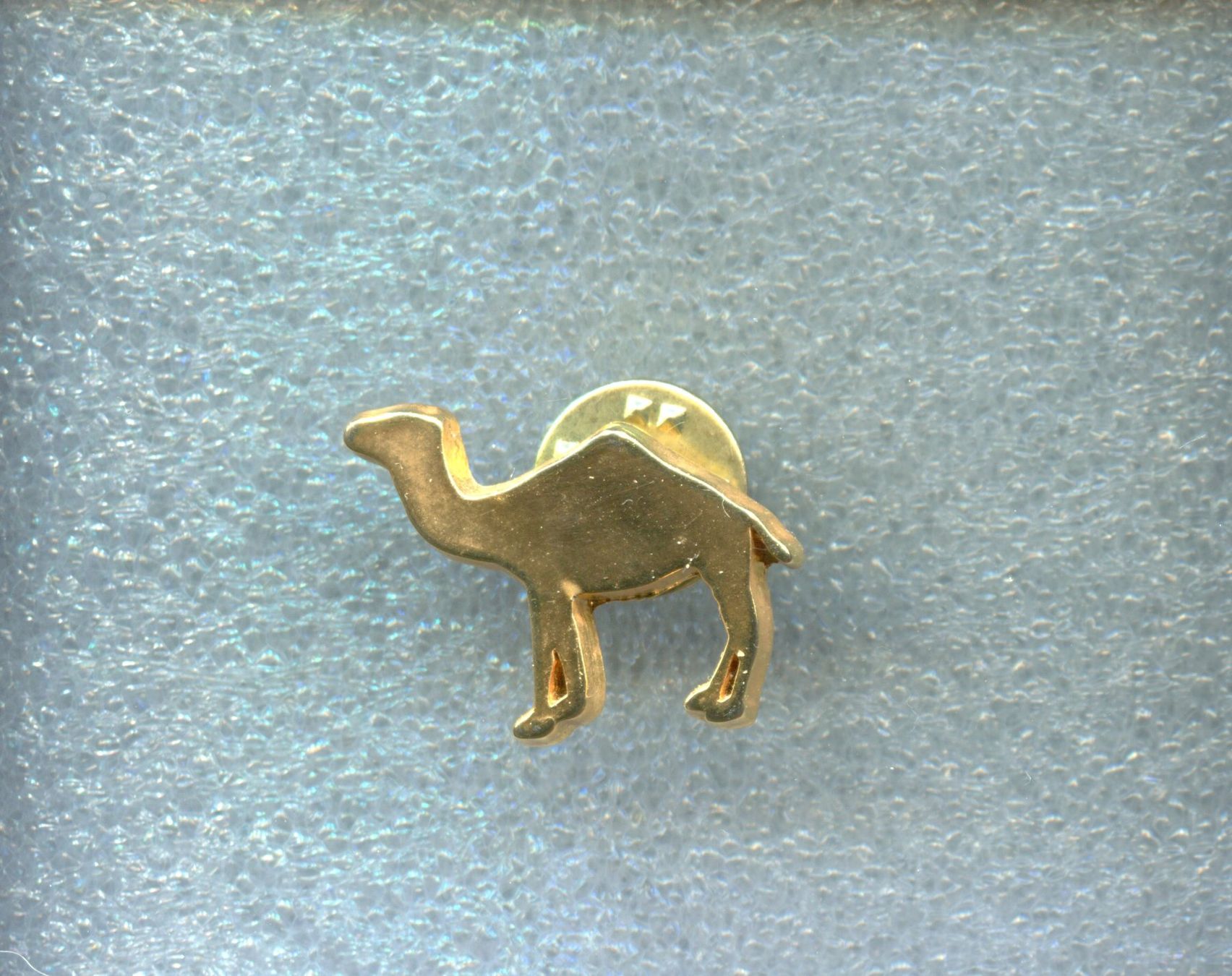Camel Placchette & Badge: CAMEL – Usato da Winterthur venduto da Sammleroase