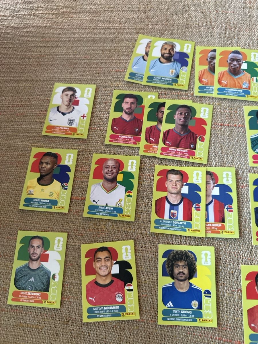 Panini Carte collezionabili: Panini Bilder inkl Cola Bilder – Nuovo (secondo la descrizione) da Biberstein venduto da Anka01 1