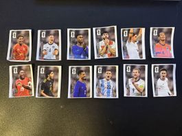Panini WM 2026 Coca-Cola Sticker komplett set