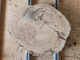 Baumscheibe Kirschbaum Holz