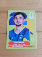 Panini WM 2026 BIH 10