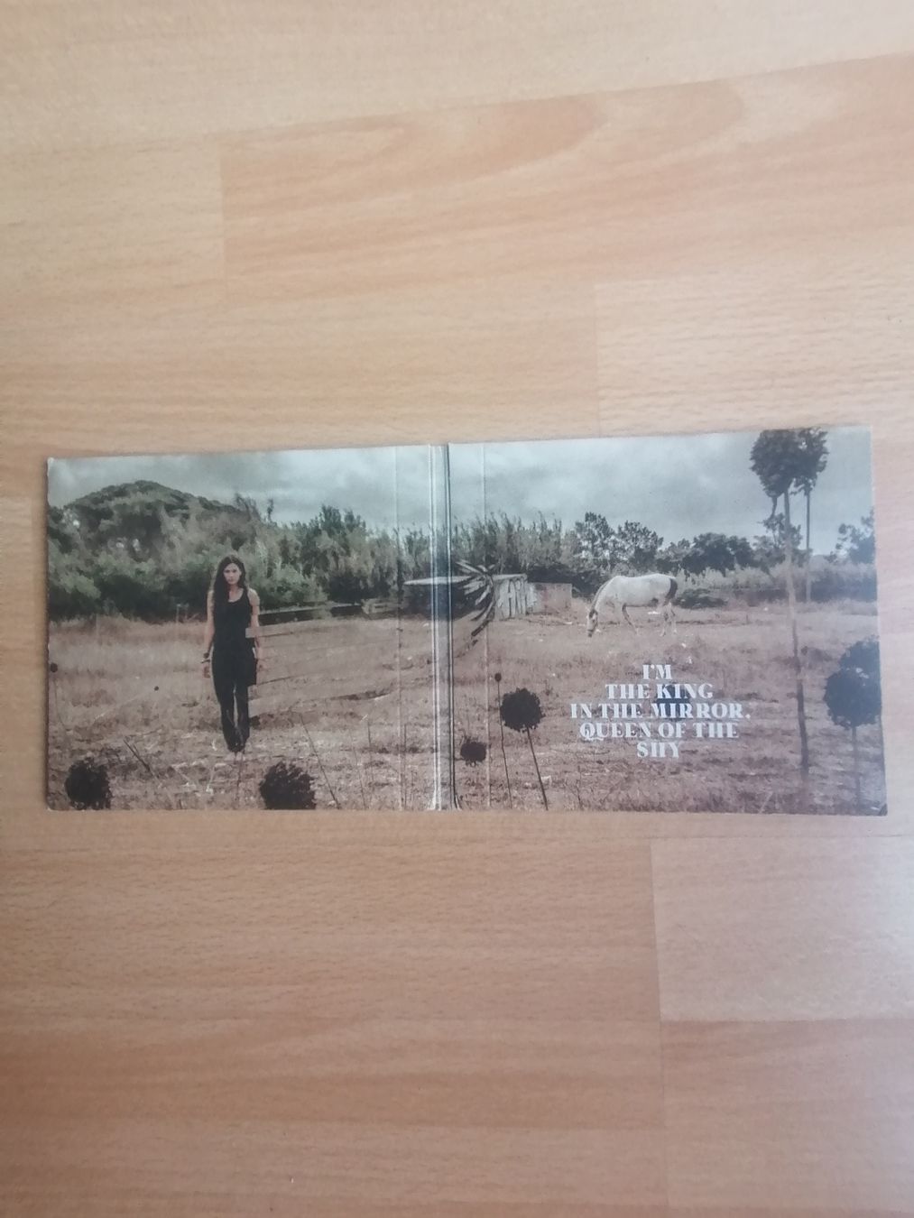 CD: Anna F - King in the Mirror – Usato da Hägendorf venduto da Fiooo 2