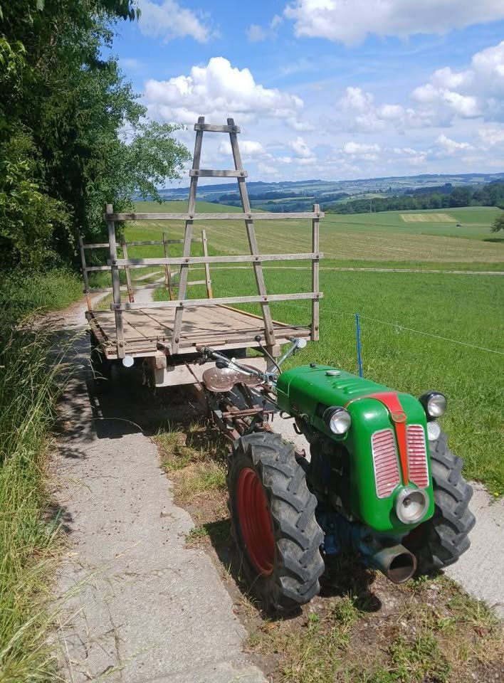Rapid Trattori: Rapid Spezial – Usato da Beromünster venduto da Irbelale 1