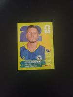 Panini Sticker Ermedin Demirovic BIH 17 neu