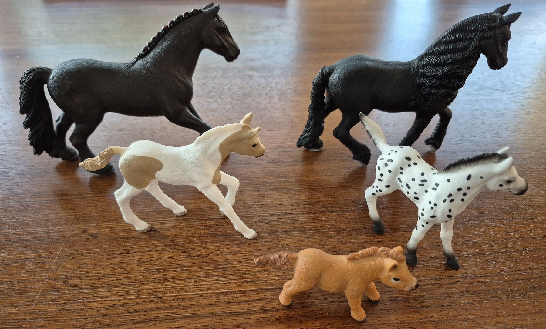 Schleich Statuette: 5-teiges Schleich-Pferde-Set – Usato da Volketswil venduto da Sbloona