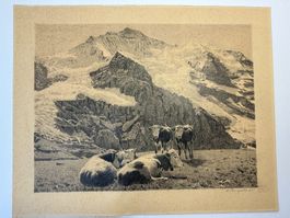 Bleistiftzeichnung von A. Bangerter – Schweizer Alpen