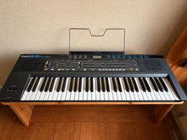 Synthesizer Roland E-20
