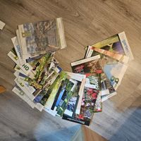 Konvolut GARTENBAU Fachzeitschriften, 2023/2024