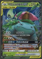 Venusaur & Celebi GX RR Tag Team CH ab 1.-