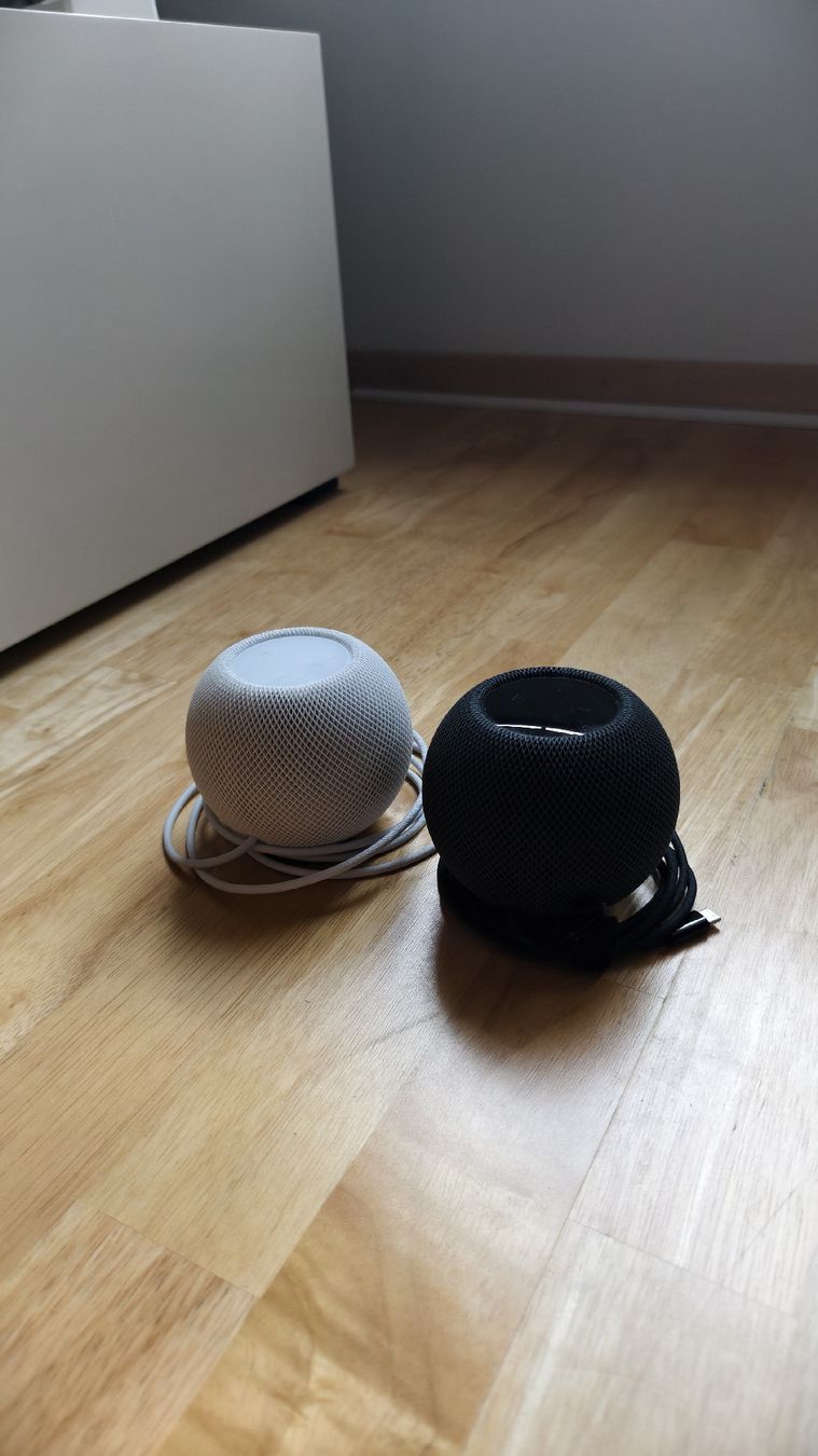 Apple Casse acustiche: Apple Homepod Mini – Usato da Mosnang venduto da chjsch7 2