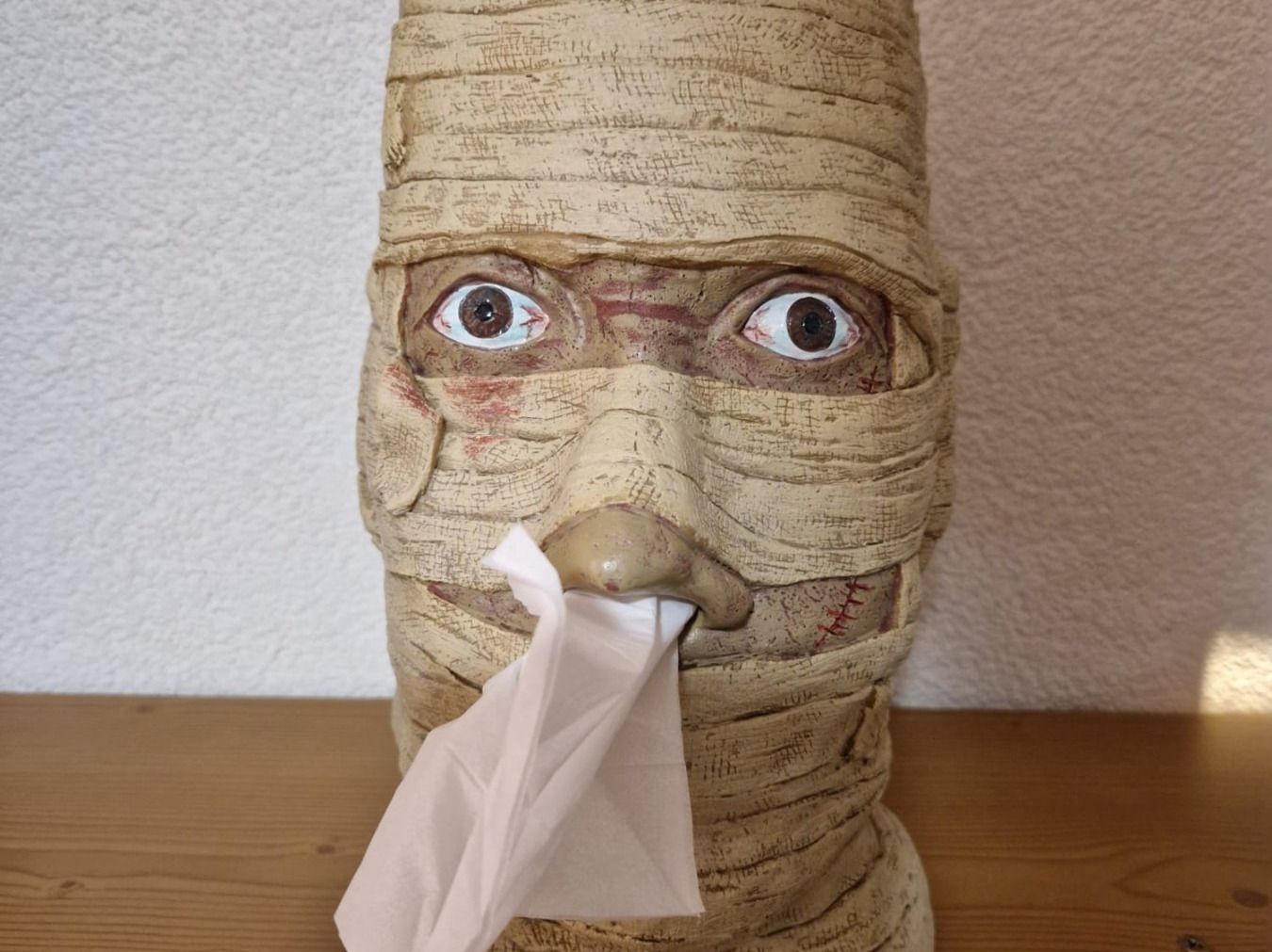 Altro per la casa: Kosmetiktuchbox "Mumie" – Usato da Chur venduto da bemaha