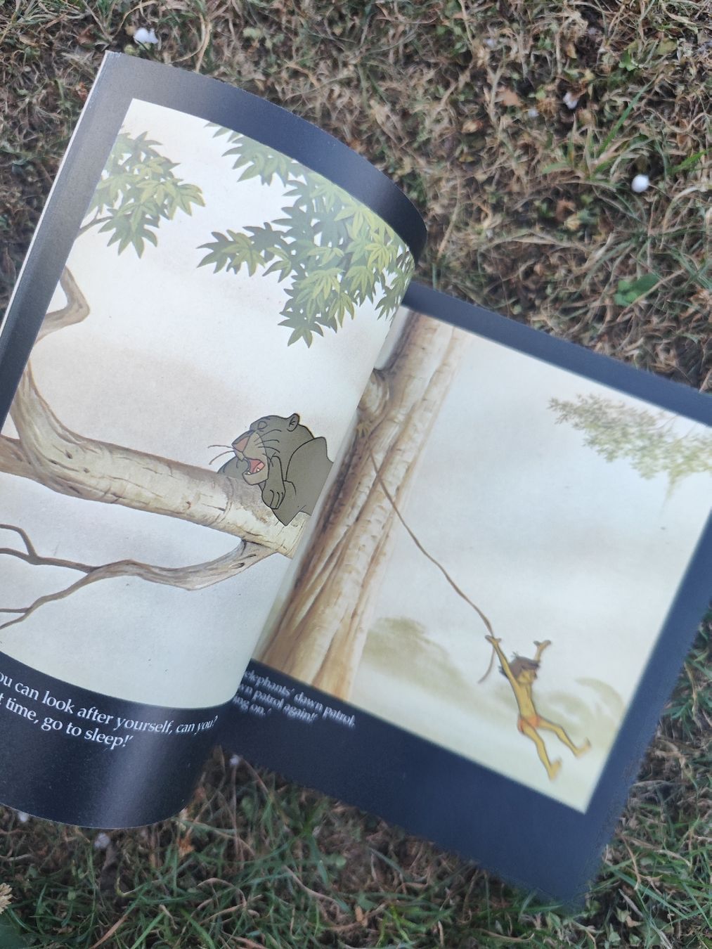 Bücher: Walt Disney The Jungle Book – Gebraucht aus Mägenwil von VintageGirly 5
