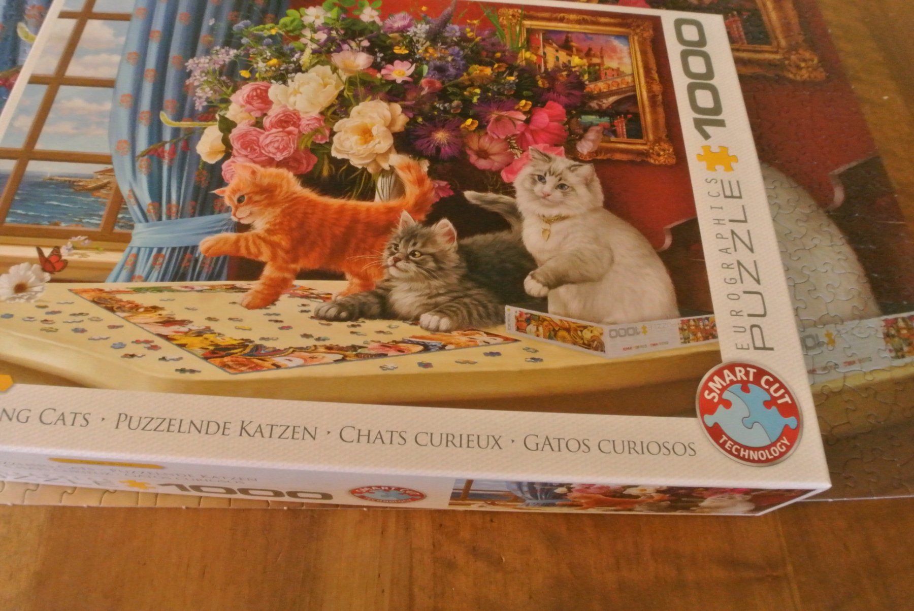 Puzzle: Puzzle 1000 Teile Katzen – Usato da Rüschlikon venduto da CBPL 2