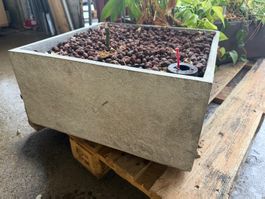 Topf mit Inhalt 49x49x H:24cm