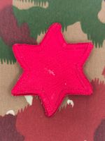 Verbandsabzeichen 6th Infantry Division