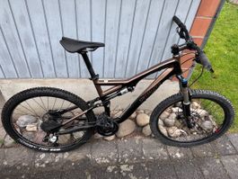 Fully Mountainbike Spezialized Stumpjumper Grösse S