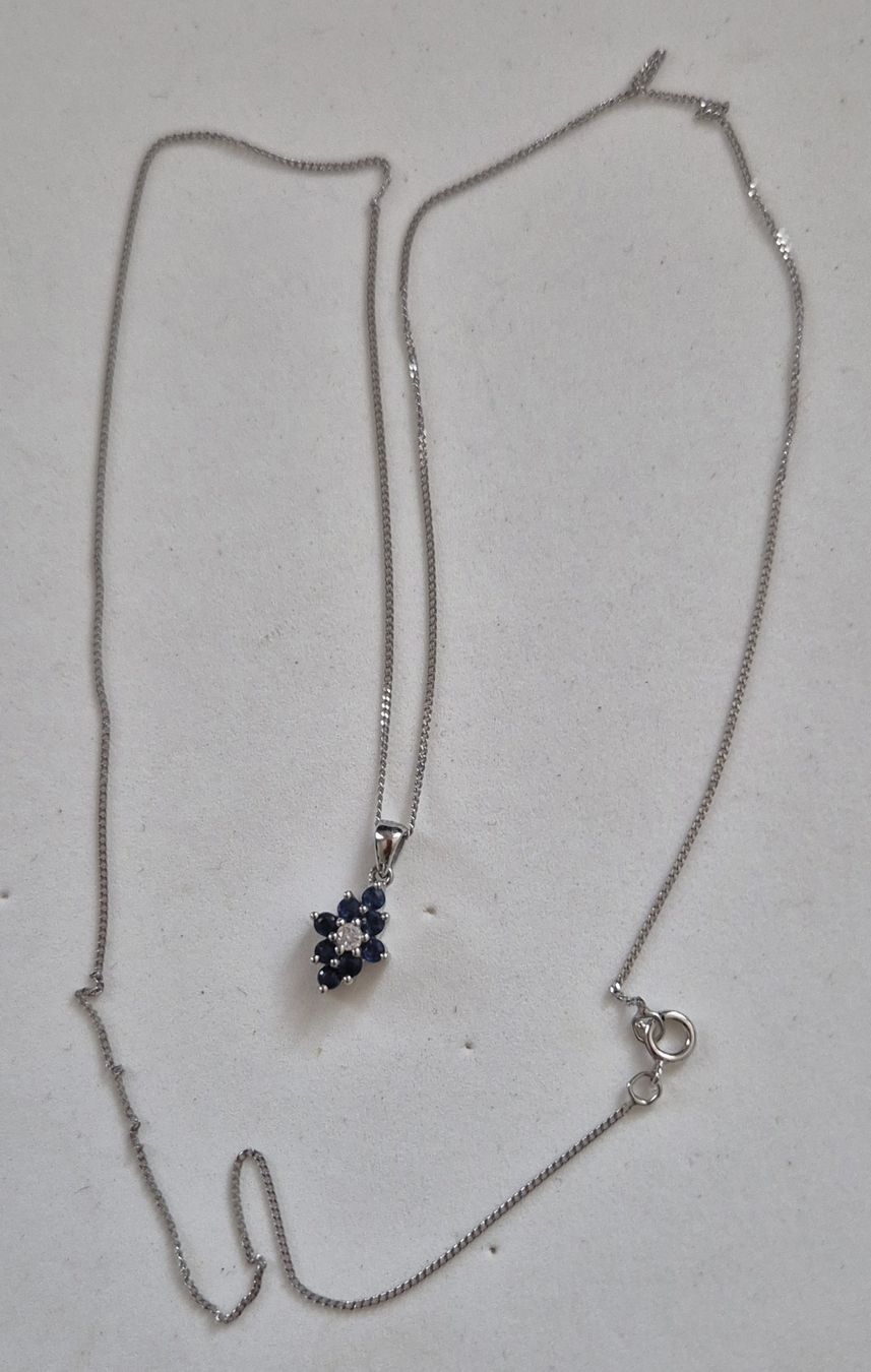 Catenine: chaînette et pendentif en or blanc – Nuovo (secondo la descrizione) da st Gingolph venduto da Fast-fashion
