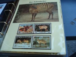 "Zebraducker", Cote d'Yvoire 1985, Satz lose **, FDC + Maxim