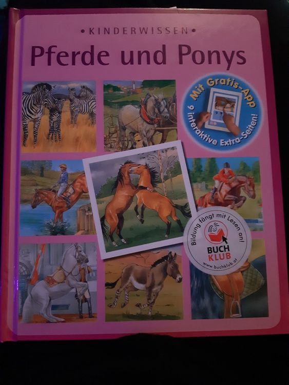 Pferde und Ponys | Kaufen auf Ricardo