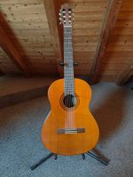 Yamaha C-Serie Acoustic Gitarre